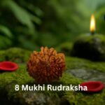 Wear 8 Mukhi Rudraksha For Wisdom and Protection