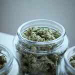 How Can Billerica Dispensaries Offer Unique Cannabis Experiences?