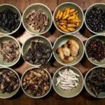Top Companies Leading the Edible Insects Market in 2025