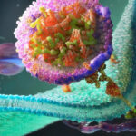 Life Science Membrane Technology Market by Application and End-User