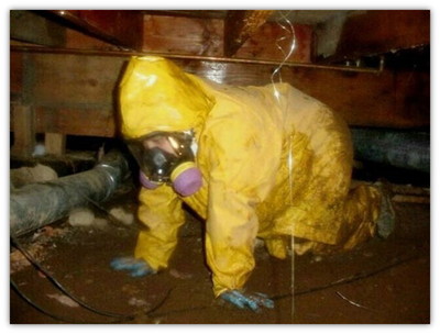 What Steps Are Involved in Water Damage Cleanup?