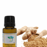 Discover the Power of Ginger Essential Oil Today