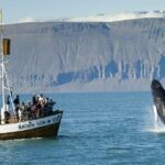 Why Should You Choose Iceland Packages from India for Your Next Unforgettable Adventure?