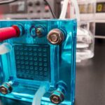 India Fuel Cell Market Size, Growth, and Forecast 2025-2033