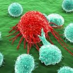 South East Asia Cancer Immunotherapy Market Size, Growth, and Trends Forecast 2025-2033