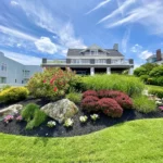 How a landscaping contractor can design a beautiful and pet-friendly backyard
