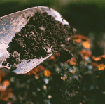 Ground Effects Landscaping’s Guide to Creating the Perfect Nighttime Ambiance