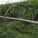 Top Benefits of Installing a Modern Garden Irrigation System in Your Landscape