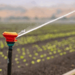 How Ground Effects Landscaping Ensures Perfect Irrigation System Design and Setup