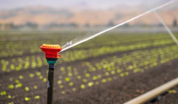 How Ground Effects Landscaping Ensures Perfect Irrigation System Design and Setup