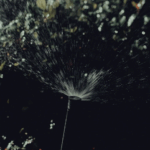 Lawn Irrigation Maintenance Tips Every Homeowner Should Know