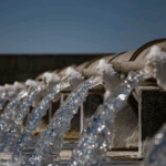 How Proper Irrigation Design Prevents Water Waste and Lawn Damage