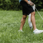 The Complete Homeowner’s Guide to Landscape Cleanup and Yard Maintenance