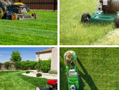 Why DIY Lawn Mowing Can Cost You More Than You Think