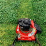 Why Professional Lawn Mowing Services Save You Time and Effort
