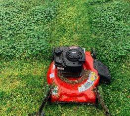 Why Professional Lawn Mowing Services Save You Time and Effort