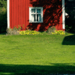 5 Common Lawn Care Mistakes and How Ground Effects Landscaping Can Help