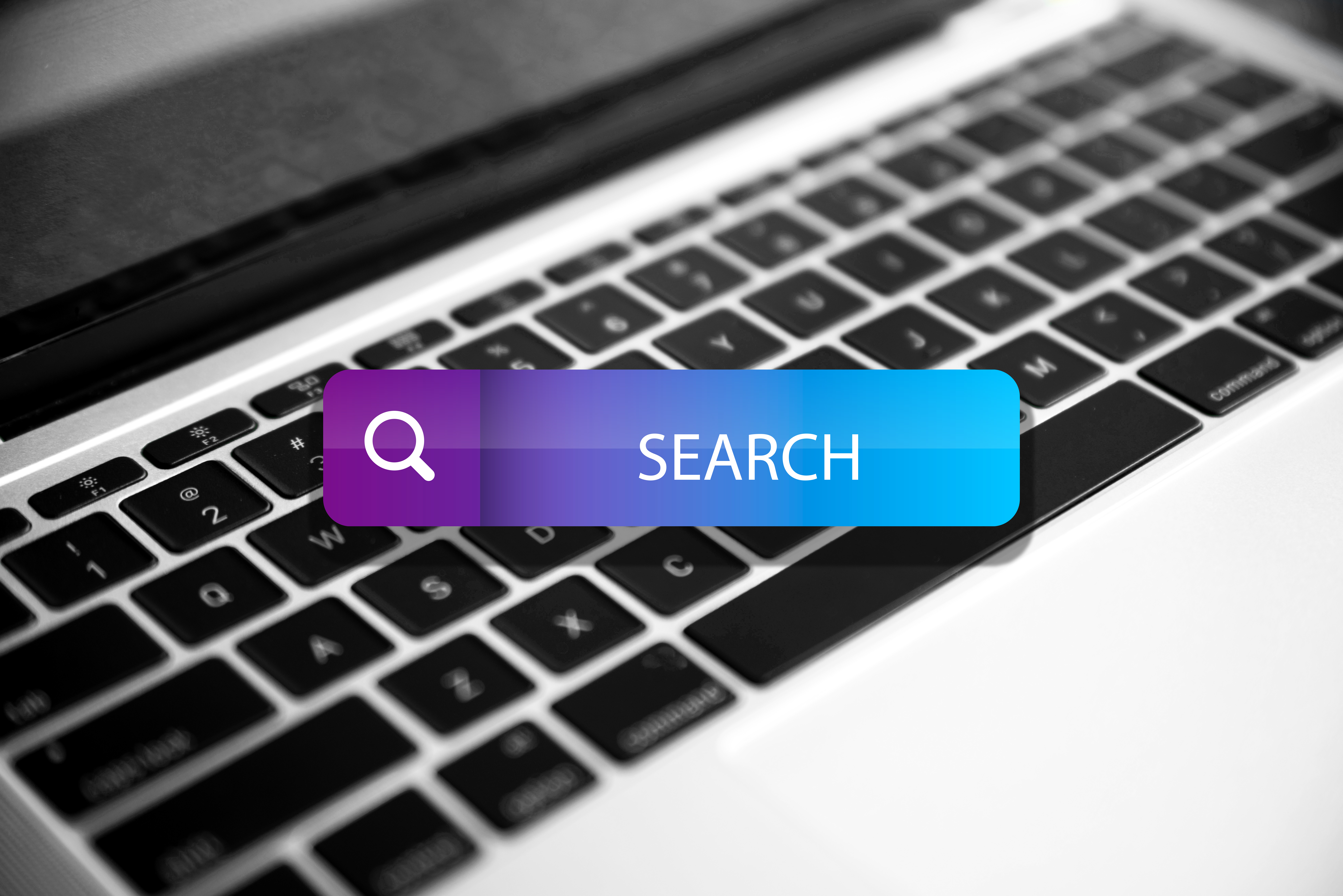 u5736 homepage concept with search bar 11840