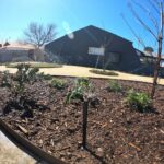 Transforming Perth Gardens with Smart Irrigation and Vertical Solutions