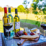 Discover the Charm of Brisbane Winery at Brisbane North B&B