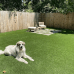 Make Your Outdoors Better with Turf Green Pro Services