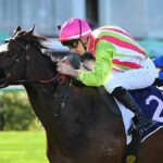 PalmerBet: A Comprehensive Guide to Australia’s Homegrown Betting Platform
