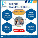S.A.P institute in Ameerpet | Best S.A.P institute in Ameerpet