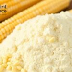 Corn Starch Price Trend, Market Analysis & Forecasts