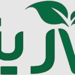 سبک زندگی پایدار: راهی به سوی آینده‌ای سبز و متعادل