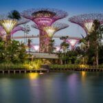 Chinatown to Little India: Singapore’s Cultural Heartbeat