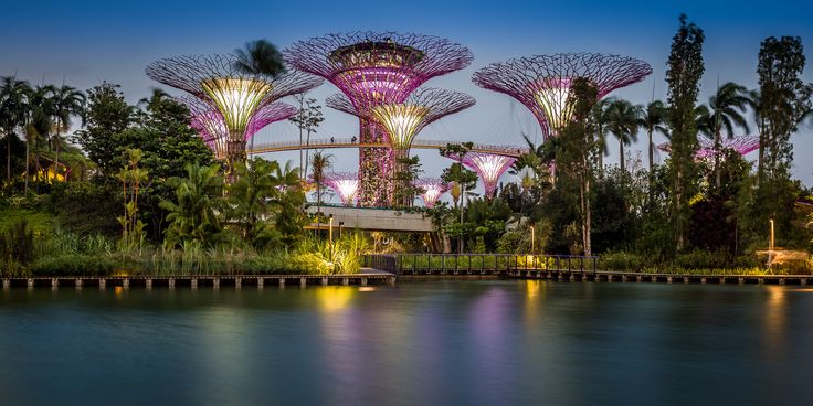 Chinatown to Little India: Singapore’s Cultural Heartbeat