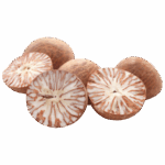 Market Trends in Sourcing Premium Betel Nuts from Betel Nuts Supplier