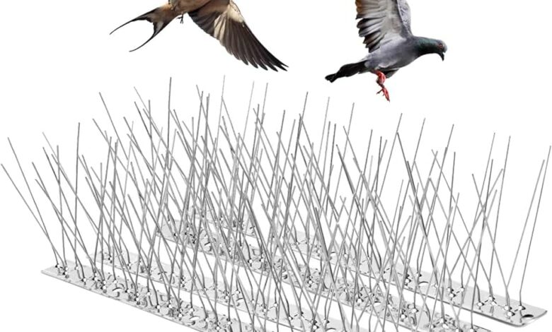 Durable Stainless Steel Bird Spikes in Dubai