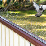 Best Bird Spikes in Dubai