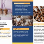 Chocolate Market Share, Size, Growth, Analysis, and Report – 2025-32