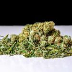Shake Dispensary Deals: A Complete Guide for Budget-Friendly Cannabis Shopping