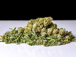 Shake Dispensary Deals: A Complete Guide for Budget-Friendly Cannabis Shopping
