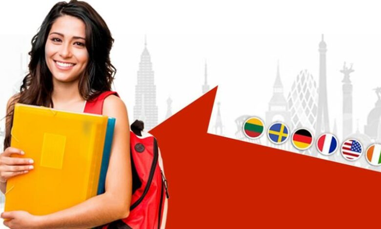 Why Canada Student Visa Consultants Are Essential for a Successful Study Visa Application