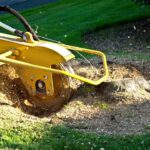 How Stump Grinding Helps Garden Renovation