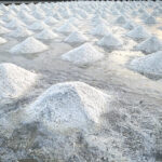 Understanding the Salt Export Process from India: A Guide for Global Buyers