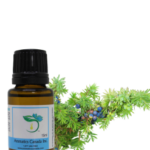 Discover the Benefits of Juniper Berry Essential Oil