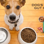 Pawbiotix Reviews: Best Dog Probiotics for Gut Health