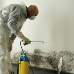 Hidden Dangers of Mold Tennessee Residents Should Be Aware Of