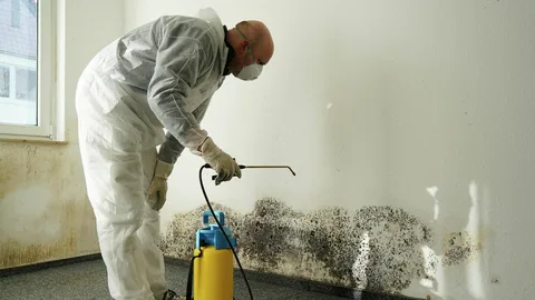 Hidden Dangers of Mold Tennessee Residents Should Be Aware Of