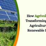 How Agrivoltaics Is Transforming Indian Agriculture and Renewable Energy