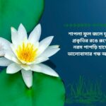 ফুল নিয়ে ক্যাপশন: সৌন্দর্য, ভালোবাসা ও অনুভূতির রঙে ভরা শব্দের খেলা