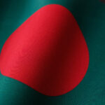 Our National Flag Paragraph: জাতীয় পতাকার গৌরব ও পরিচয়