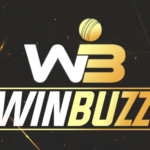 How to Enable Permissions for Winbuzz App Download APK After Installation