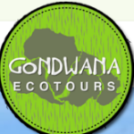 Aurora Watching, Dog Sledding, Reindeer, Hot Springs and More!