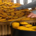 Indian Snacks and Beverages Exporter: Navigating Global Demand, Quality, and Opportunity